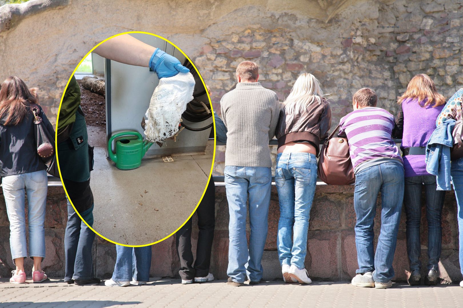 Ktoś z odwiedzających wrzucić zużytą pieluszkę na wybieg