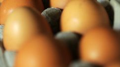 Dziwne linie na jajkach. Internauci odkryli, co się za nimi kryje