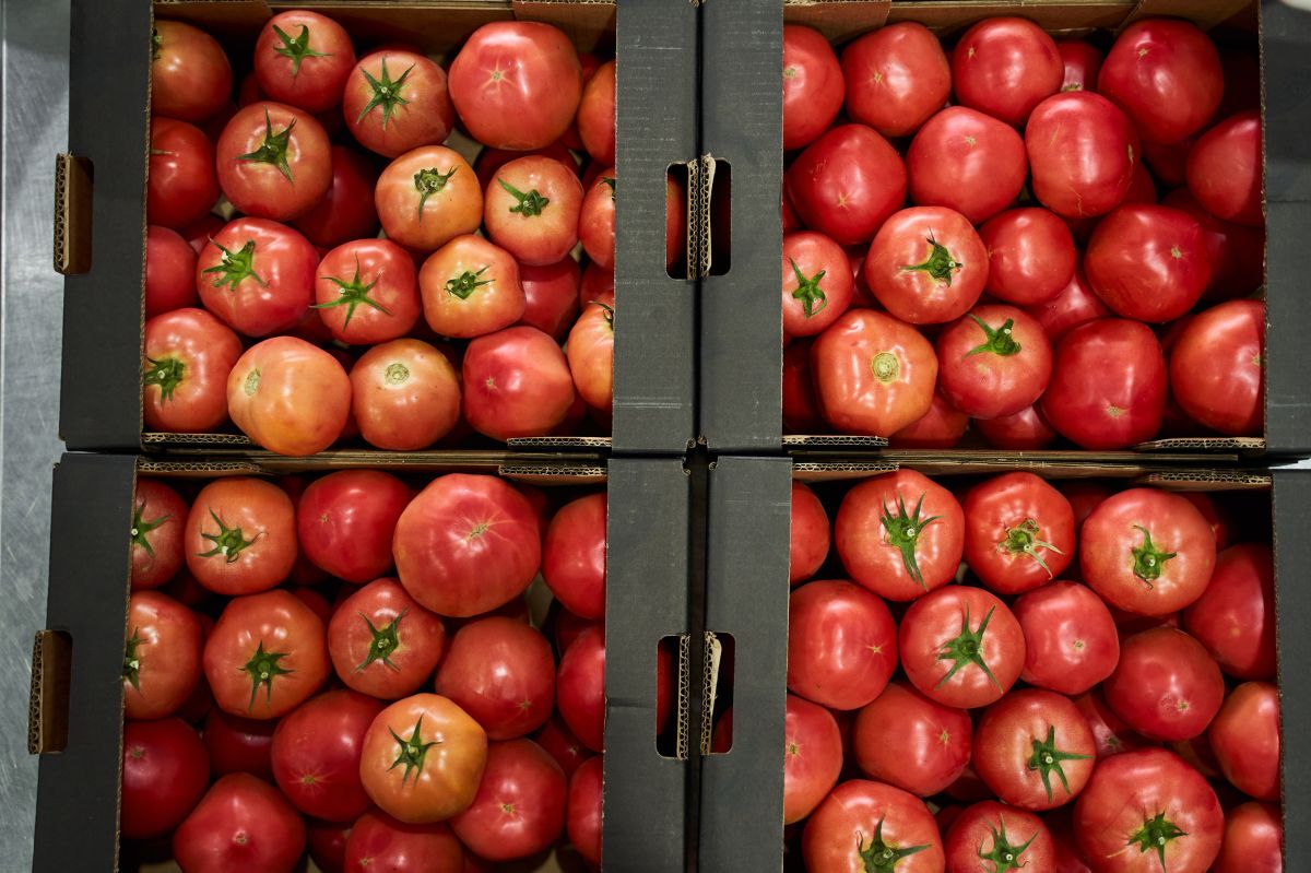 W pomidorach wykryto pestycydy, których używanie jest w Polsce zakazane 
