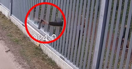 Szturmują granicę z Polską. Znaczny wzrost liczby incydentów
