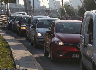 "Zakaz" dla aut spalinowych w UE do kosza? Znamy stanowisko rządu