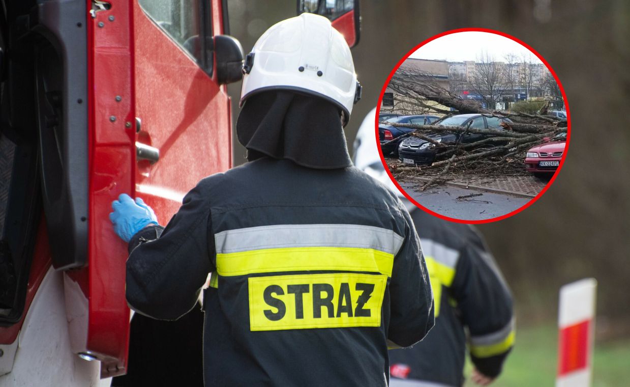 Potężne wichury nad Polską. Zerwany dach, powalone drzewa