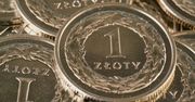 Złoty błyskawicznie reaguje na decyzję RPP. Inwestorzy nie są zachwyceni