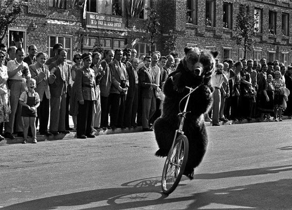 W skrócie: konkursy Nikona i Sony, zdjęcia Marilyn drugi raz pod młotek, Warszawa lat 50. w obiektywie Władysława Sławnego 1