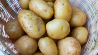 Trzymam razem z ziemniakami, bo tak poradził mi dziadek. Nie puszczają kiełków aż do późnej wiosny