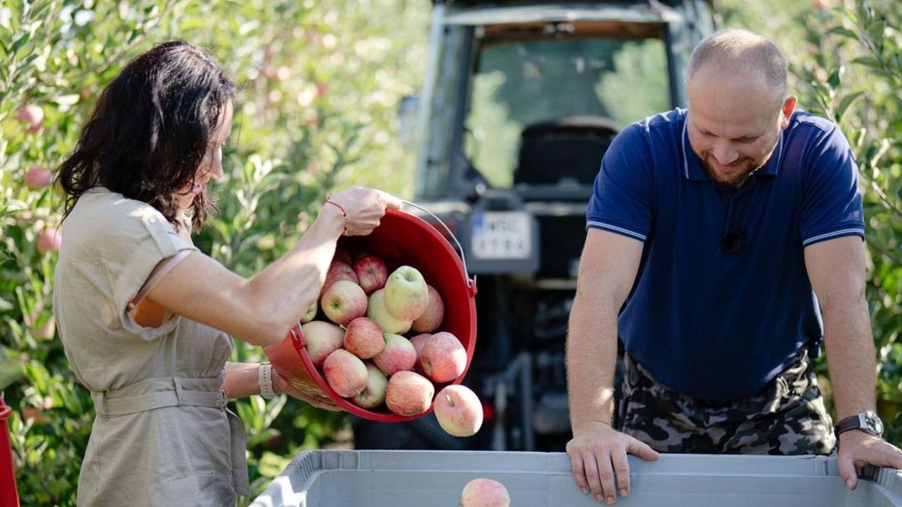 "Rolnik szuka żony". Widzowie chcą, by jedna z uczestniczek pojechała do domu