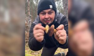 Ponad 700 rys. wyświetleń. Pokazał, co się stało z grzybami