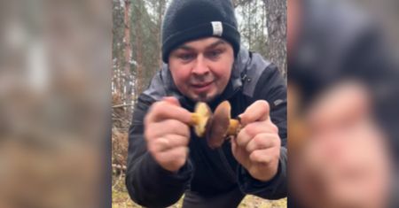 Ponad 700 tys. wyświetleń. Pokazał, co się stało z grzybami