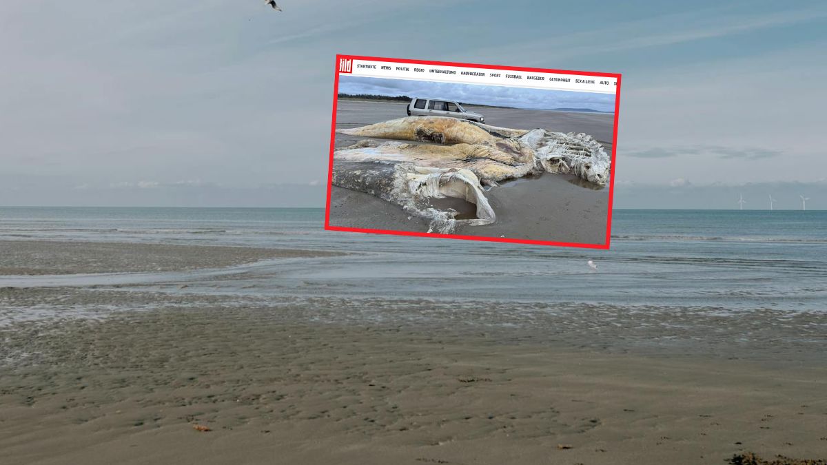 Na plaży w Walii odkryto tajemnicze zwłoki 