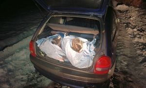 Była 2:00 w nocy. Mundurowi zajrzeli do bagażnika. Zatrzymano trzech kolegów