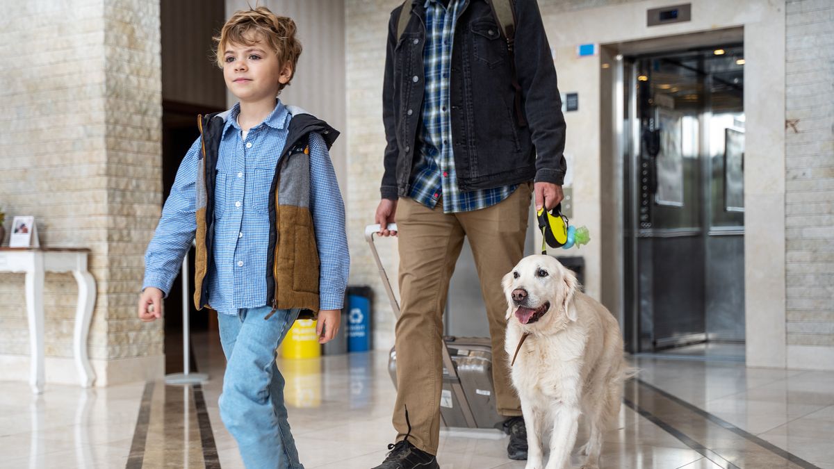 Hotel dla psów przy lotnisku 