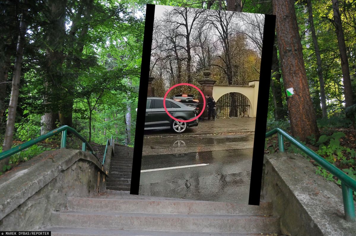 Polityk PiS zjechał autem po schodach wprost do miejskiego parku 