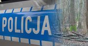 Leśniczy zauważył ślady. Na miejsce wezwał służby