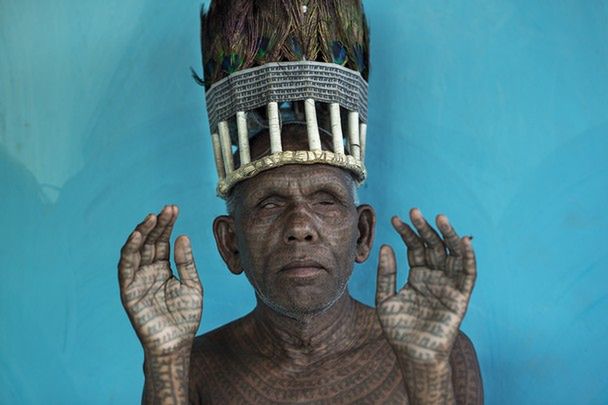 Zwycięzcy konkursu National Geographic Photo Contest 2014, czyli kawał dobrej fotografii 9