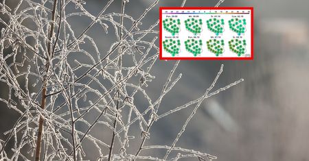 Tak przywita nas październik. Przymrozki i chłód w całej Polsce