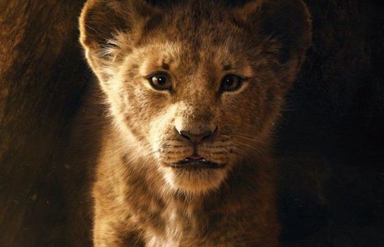 "Król Lew" zarobił już ponad 960 mln dolarów. "Pewnego razu w Hollywood" podbija kina w USA