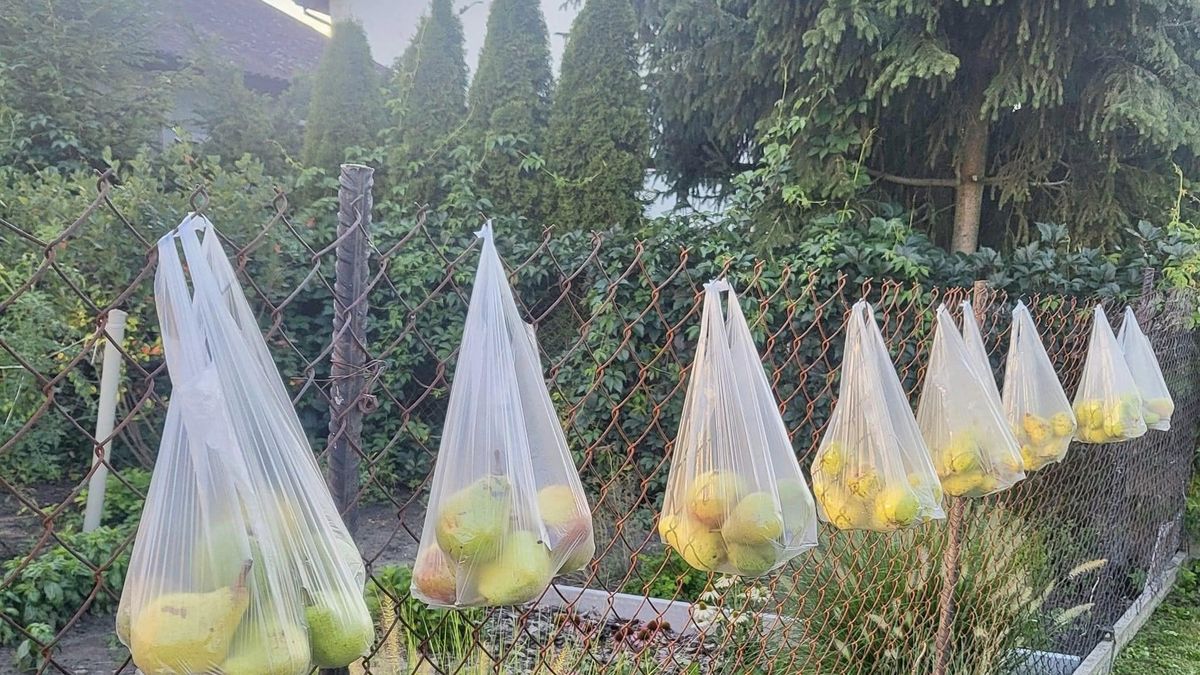 Cały Internet mówi o akcji z malutkiej miejscowości Żagliny