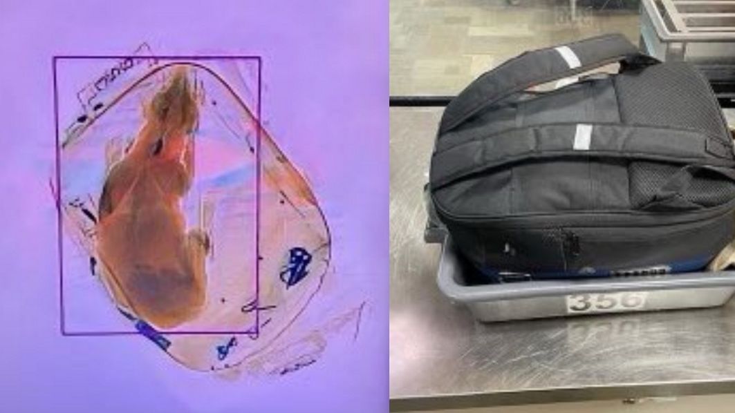 Pracownik lotniska był w szoku, gdy to zobaczył