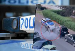 Warszawa. Chciał przejechać 7-latka. Policjantów potraktował gaśnicą. Jest nagranie