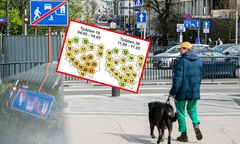 Nie będzie już tak ciepło jak w majówkę. Zobacz prognozę na 16 dni