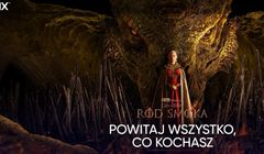 234 tys. gospodarstw domowych zrezygnowało z płatnych serwisów streamingowych
