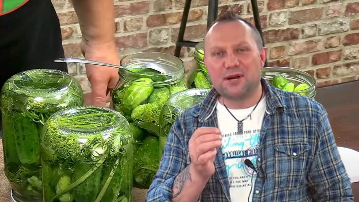 Ogórki kiszone jak od babci. Strzelczyk zdradza swój sekret na idealne kiszenie