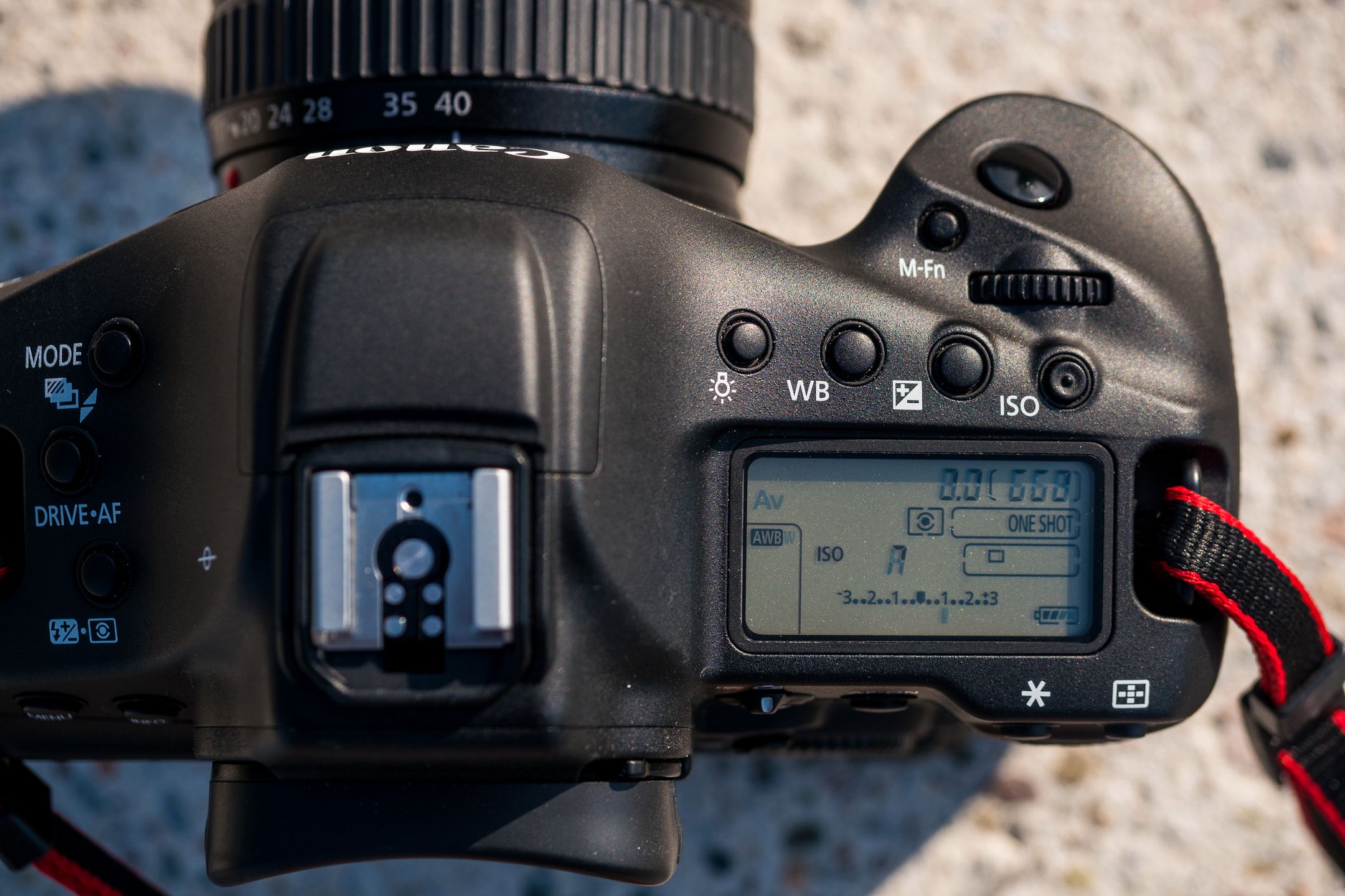 Canon EOS-1D X Mark II - test najszybszej lustrzanki na świecie 4
