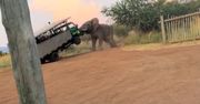 Koszmar na safari w RPA. Modlili się o litość