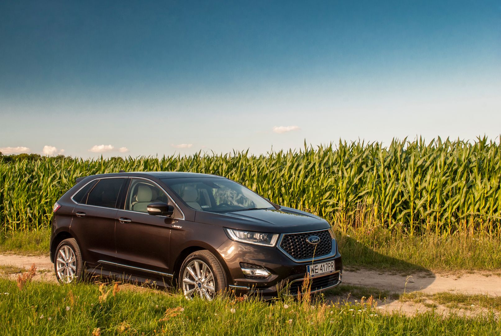 Wersja Vignale w dedykowanym brązowym lakierze wygląda bardzo elegancko. Na tyle, że to chyba pierwszy SUV, który fotografowany na łące wygląda nienaturalnie