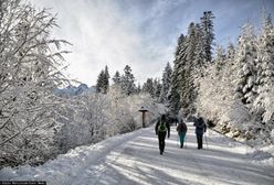 Pijany i agresywny turysta na drodze do Morskiego Oka. Trafił na komendę