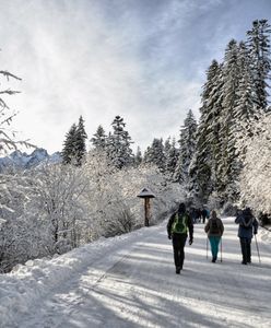 Pijany i agresywny turysta na drodze do Morskiego Oka. Trafił na komendę