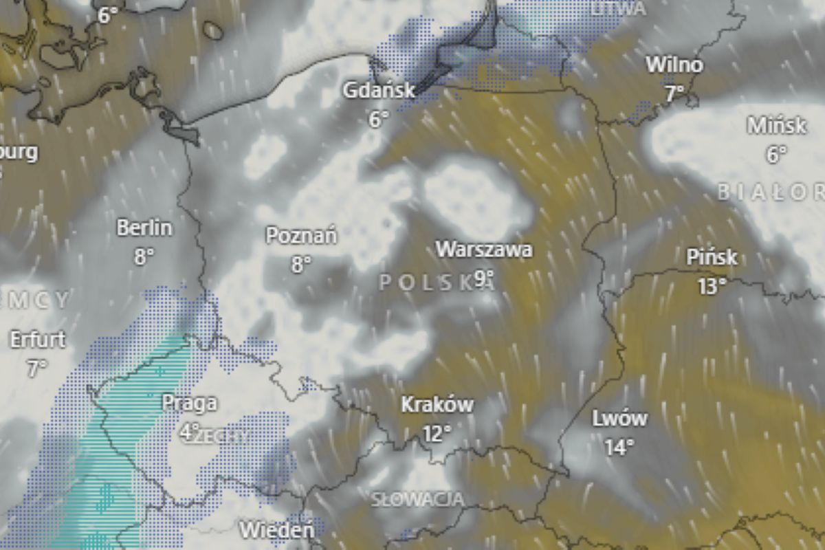 Prognoza IMGW na 27 i 28 stycznia. Wiosna w środku zimy