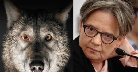 Katolickie stowarzyszenie żąda wycofania "Pokotu" jako polskiego kandydata do Oscara! "Podważa dobry wizerunek Polski w świecie!"
