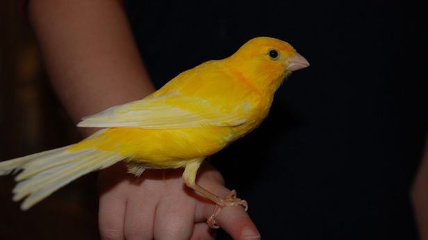 Komu Twitter sprzedaje nasze stare tweety? 1