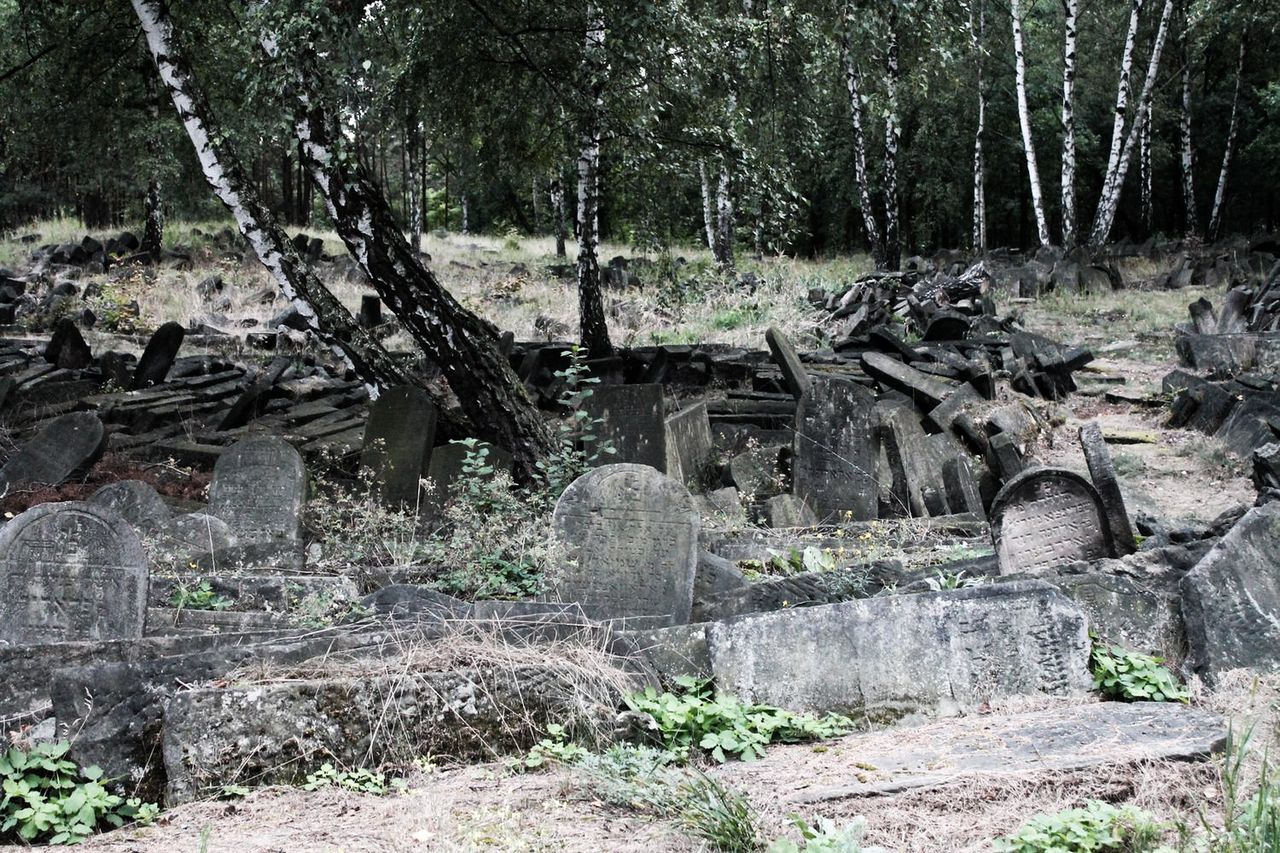 Fotostory: macewy na cmentarzu żydowskim