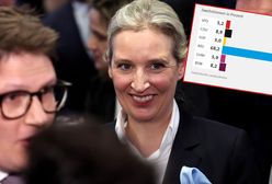 Niewiarygodne wykresy. AfD deklasuje konkurencję w kilku miejscach