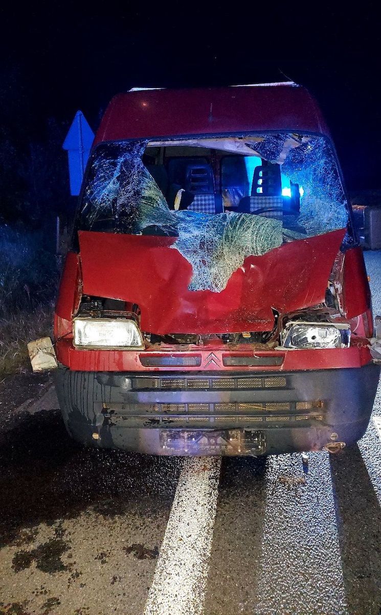 Stare Miasto: Uderzył w łosia. Dwie osoby trafiły do szpitala