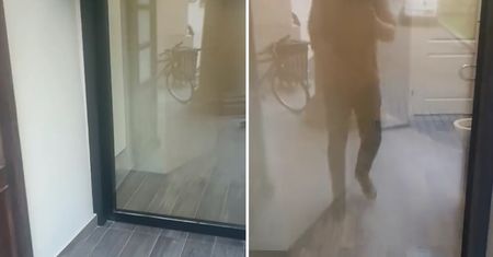 W Krakowie toaleta jak terrarium. Widać wszystko! Mamy komentarz urzędu