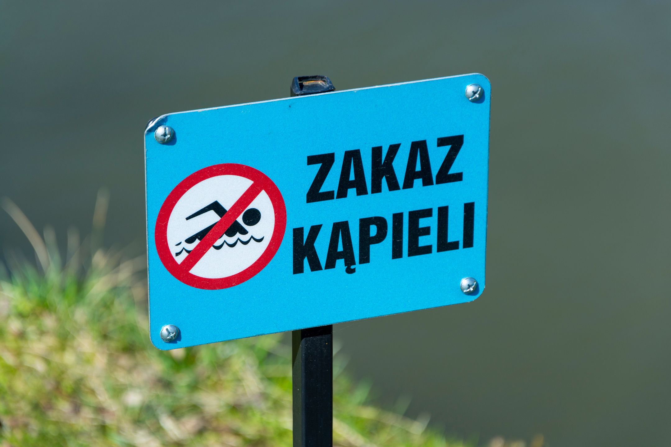 Zakaz kąpieli w jeziorze w Pamiątkowie