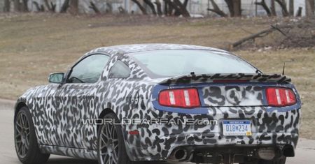 Ford Mustang Shelby GT500 2013 w kamuflażu