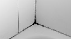 Jak usunąć pleśń z silikonu w kabinie prysznicowej?
