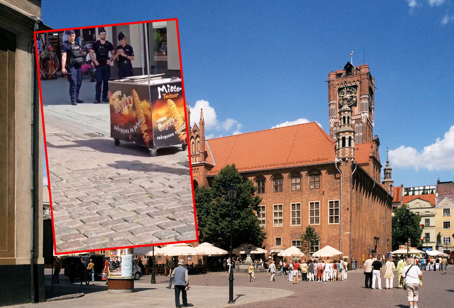 Ciąg dalszy kłopotów Pana Frytki

