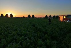 Dolny Śląsk. Strzegom. Prokuratura bada katastrofę śmigłowca