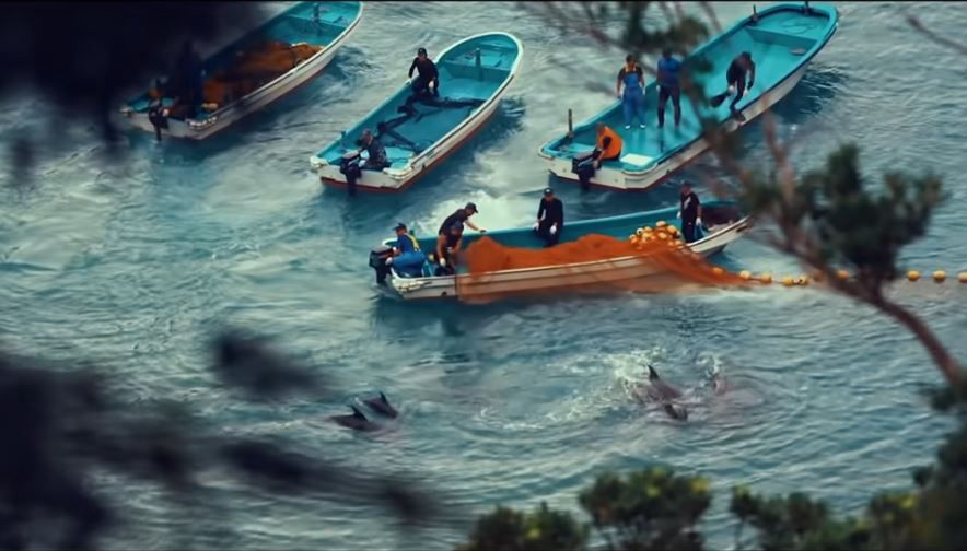 seaspiracy