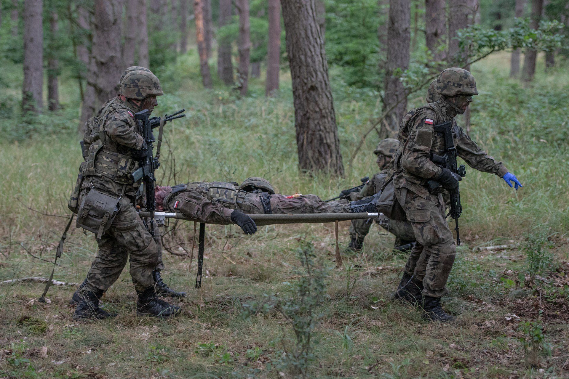 Terytorialsi to armia na drugi etat