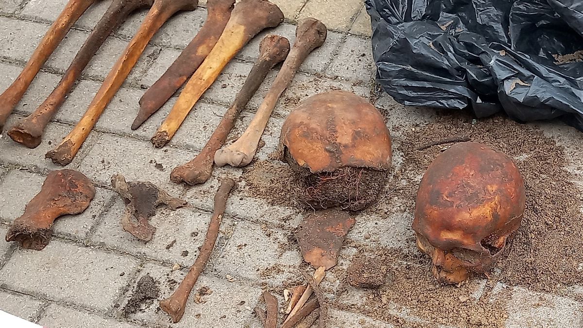 Przy muzeum odkryto masową mogiłę 