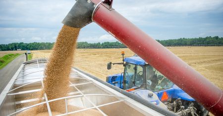Rolnicy liczą straty. "To nie są żniwa, to jest walka z pogodą"