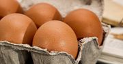 Salmonella w jajkach z Biedronki! Sprawdź, czy masz je w swojej lodówce?