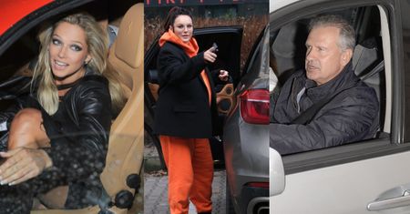 Na podwójnym gazie jechał nie tylko Ryszard Rynkowski. Oto gwiazdy, które prowadziły po alkoholu (ZDJĘCIA)
