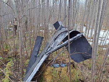 "Nadal kłamie". Estonia, Łotwa i Litwa o zarzutach Rosji